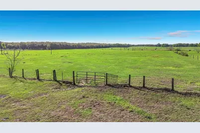 855 NE 107th Road, Oxford, FL 34484 - Photo 45