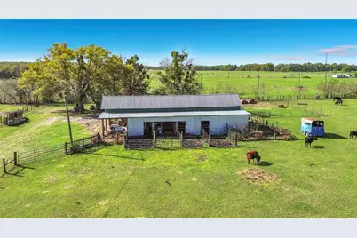 855 NE 107th Road, Oxford, FL 34484 - Photo 5