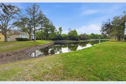 27004 Cool Stream Lane, Wesley Chapel, FL 33544 - Photo 37