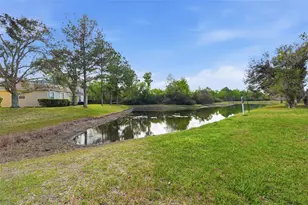 27004 Cool Stream Ln, Wesley Chapel, FL 33544 - Photo 37
