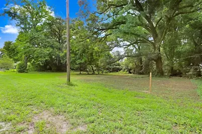 37352 Â½ Trilby Road, Dade City, FL 33523 - Photo 11