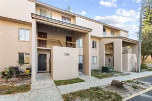 5508 Pokeweed Ct, Tampa, FL 33617 - Photo 5
