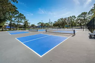 4777 Edge Park Dr, Oldsmar, FL 34677 - Photo 87