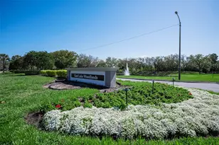 4777 Edge Park Dr, Oldsmar, FL 34677 - Photo 77