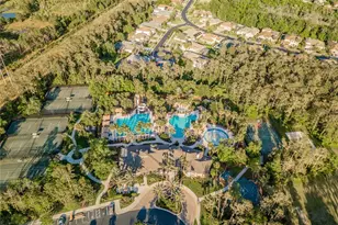 26952 Juniper Bay Dr, Wesley Chapel, FL 33544 - Photo 45