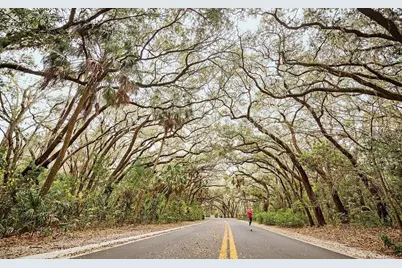 288 Salem Street, Safety Harbor, FL 34695 - Photo 25