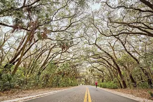 288 Salem St, Safety Harbor, FL 34695 - Photo 25