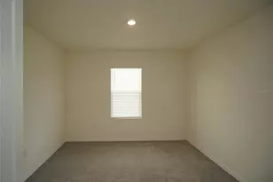 33700 Jasper Stone Dr, Wesley Chapel, FL 33543 - Photo 11