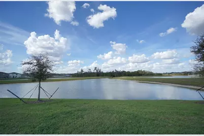 33700 Jasper Stone Drive, Wesley Chapel, FL 33543 - Photo 17