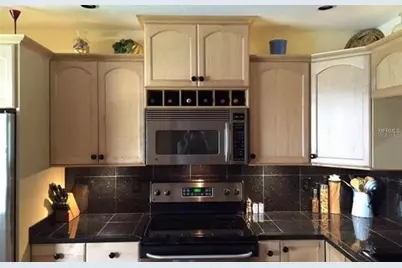 1393 Kittery Court, Safety Harbor, FL 34695 - Photo 13