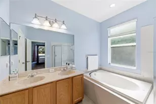 6823 Green Heron Dr, Wesley Chapel, FL 33545 - Photo 29