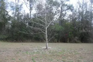 5150 Diantha Way, Brooksville, FL 34604 - Photo 5