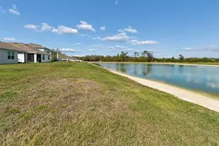 2814 Common Fig Run, Wesley Chapel, FL 33543 - Photo 51