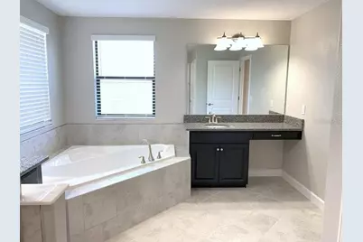 16308 Hyde Manor Drive, Tampa, FL 33647 - Photo 17