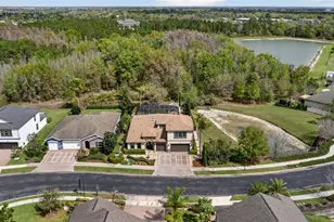 31335 Driscoll Dr, Wesley Chapel, FL 33543 - Photo 77