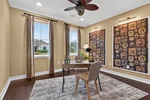 31335 Driscoll Dr, Wesley Chapel, FL 33543 - Photo 11