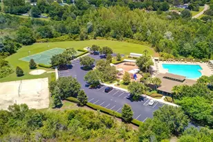 31335 Driscoll Dr, Wesley Chapel, FL 33543 - Photo 85