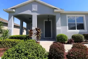 11114 Hartford Fern Dr, Riverview, FL 33569 - Photo 19