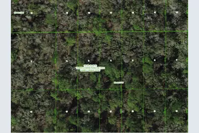 Unassigned, Wesley Chapel, FL 33544 - Photo 3