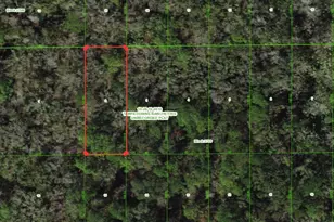 Unassigned, Wesley Chapel, FL 33544 - Photo 1