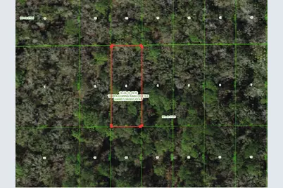 Unassigned, Wesley Chapel, FL 33544 - Photo 1