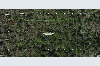 Unassigned, Wesley Chapel, FL 33544 - Photo 5