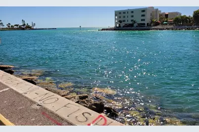 7650 Coquina Way #1, Saint Pete Beach, FL 33706 - Photo 5