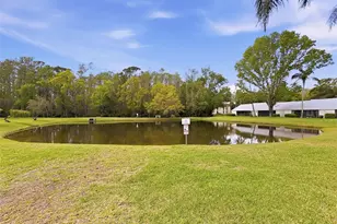 1488 Pine Glen Ln, Tarpon Springs, FL 34688 - Photo 37