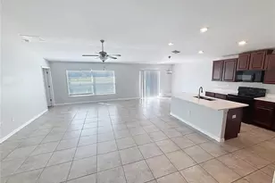 10241 Strawberry Tetra Dr, Riverview, FL 33578 - Photo 11