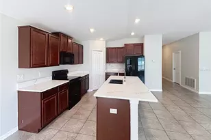 10241 Strawberry Tetra Dr, Riverview, FL 33578 - Photo 9