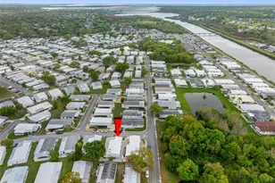 223 Dolphin Dr N, Oldsmar, FL 34677 - Photo 39