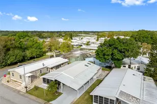 223 Dolphin Dr N, Oldsmar, FL 34677 - Photo 35