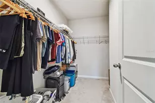 18053 Turning Leaf Cir, Land O Lakes, FL 34638 - Photo 45