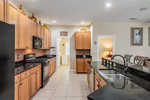 19101 Lone Creek Ct, Land O Lakes, FL 34638 - Photo 19