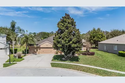 19101 Lone Creek Court, Land O Lakes, FL 34638 - Photo 51