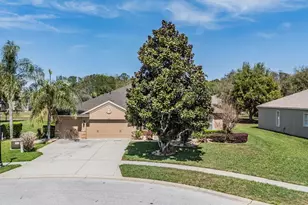 19101 Lone Creek Ct, Land O Lakes, FL 34638 - Photo 51