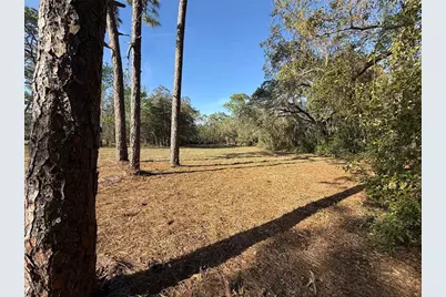 6479 W Holiday Street, Homosassa, FL 34446 - Photo 5