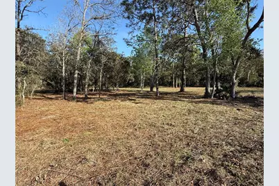 6479 W Holiday Street, Homosassa, FL 34446 - Photo 9