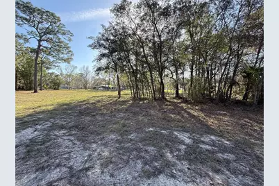 6479 W Holiday Street, Homosassa, FL 34446 - Photo 3