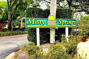 2661 Sabal Springs Cir, Clearwater, FL 33761 - Photo 15