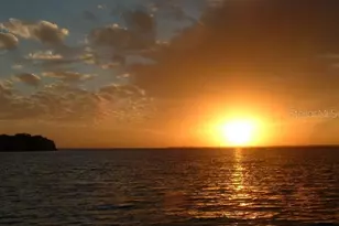 2216 Parrot Fish Dr, Holiday, FL 34691 - Photo 71