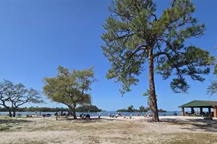 2216 Parrot Fish Dr, Holiday, FL 34691 - Photo 51