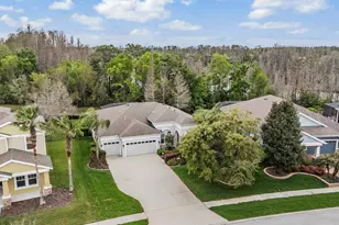 19420 Autumn Chase Ct, Land O Lakes, FL 34638 - Photo 45