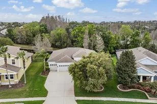 19420 Autumn Chase Ct, Land O Lakes, FL 34638 - Photo 47