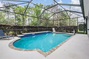 19420 Autumn Chase Ct, Land O Lakes, FL 34638 - Photo 5