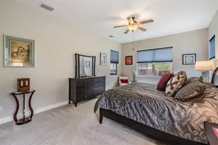 19420 Autumn Chase Ct, Land O Lakes, FL 34638 - Photo 23