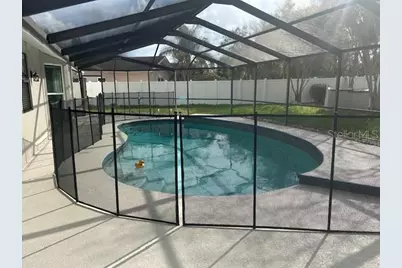 465 Holly Hill Road, Oldsmar, FL 34677 - Photo 39