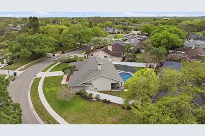 465 Holly Hill Road, Oldsmar, FL 34677 - Photo 45