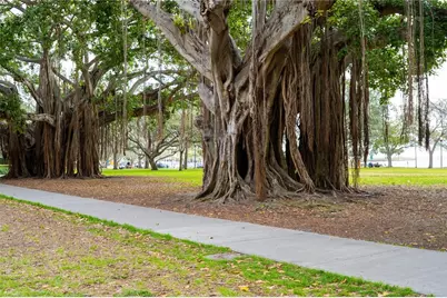100 4th Avenue S #140, Saint Petersburg, FL 33701 - Photo 47