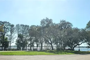 4010 Executive Dr, Palm Harbor, FL 34685 - Photo 47